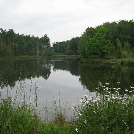 Ferienhaus Sperlingsruh Дом отдыха *